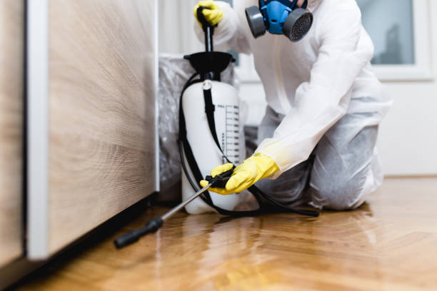 Best Affordable Pest Control Services  in Rexburg, ID