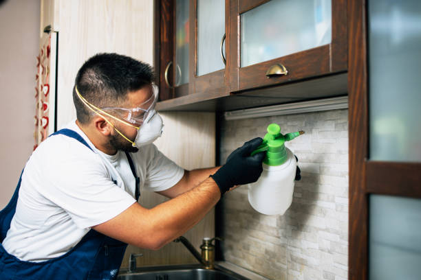Best Residential Pest Control  in Rexburg, ID