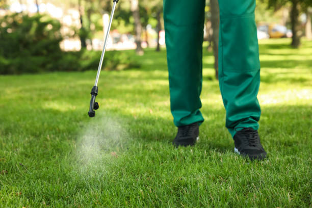 Best Affordable Pest Control Services  in Rexburg, ID