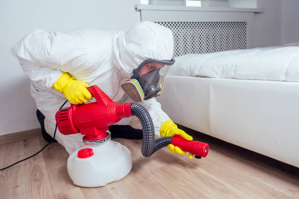 Best Pest Removal Services  in Rexburg, ID