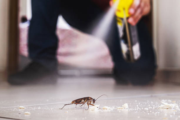 Best Wasp Removal Services  in Rexburg, ID