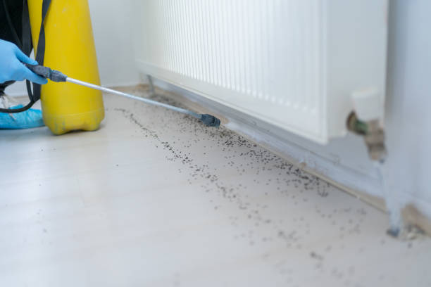 Best Pest Inspection Near Me  in Rexburg, ID