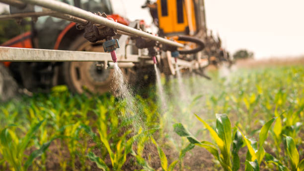 Best Wildlife Control Services  in Rexburg, ID